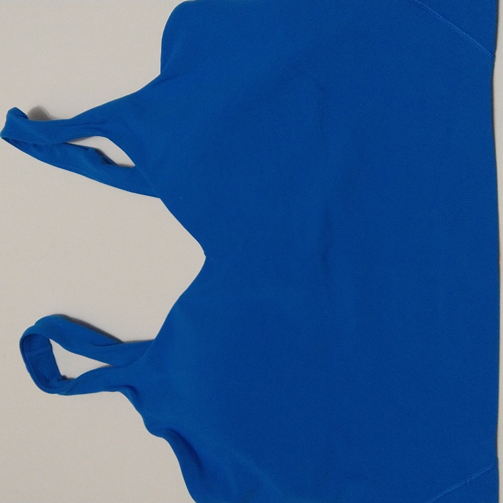 lululemon athletica Blue Sports Bra